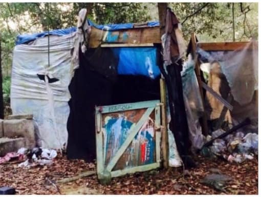 Green_Vistas_Veterans_Village_Inc_Tampa_Nonprofit_Organization_Home_Page_flip_box_second